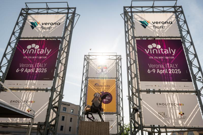 Le produzioni vitivinicole reggine presenti al Vinitaly, il delegato metropolitano Mantegna: \
