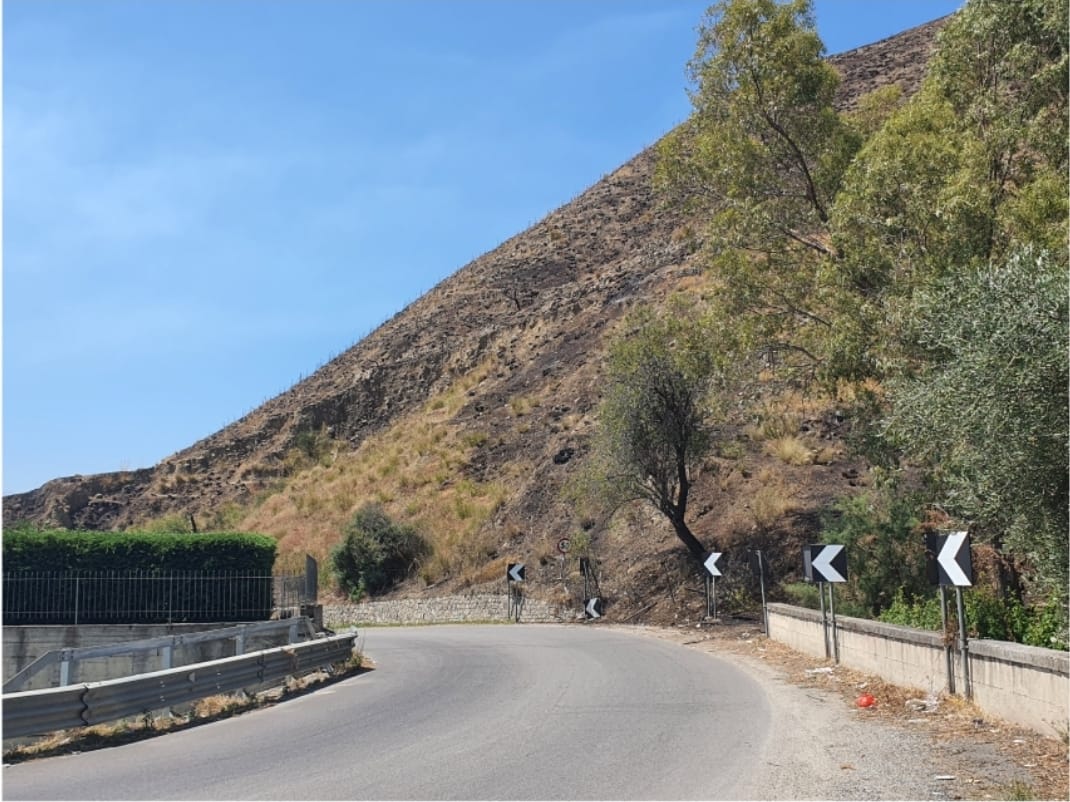 Melito Porto Salvo, incendiati i terreni confiscati alla criminalit� e riqualificati dalla Citt� Metropolitana col progetto �Riforest@MetroREggio 1�