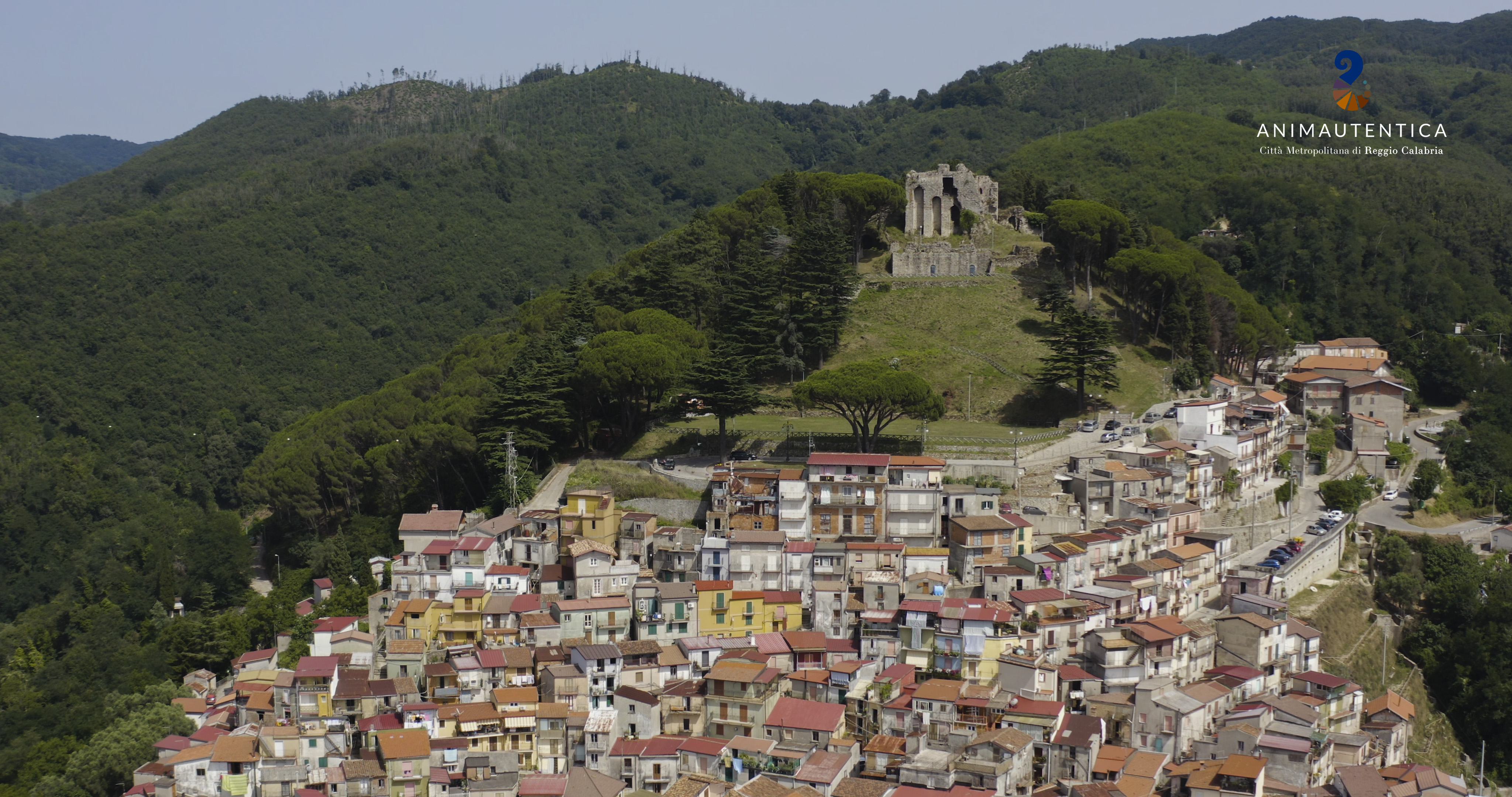La Citt Metropolitana lancia il progetto BiodiverCity per il monitoraggio del verde urbano. Il 15 ottobre a Palazzo Alvaro la giornata di formazione per tutti i Comuni metropolitani
