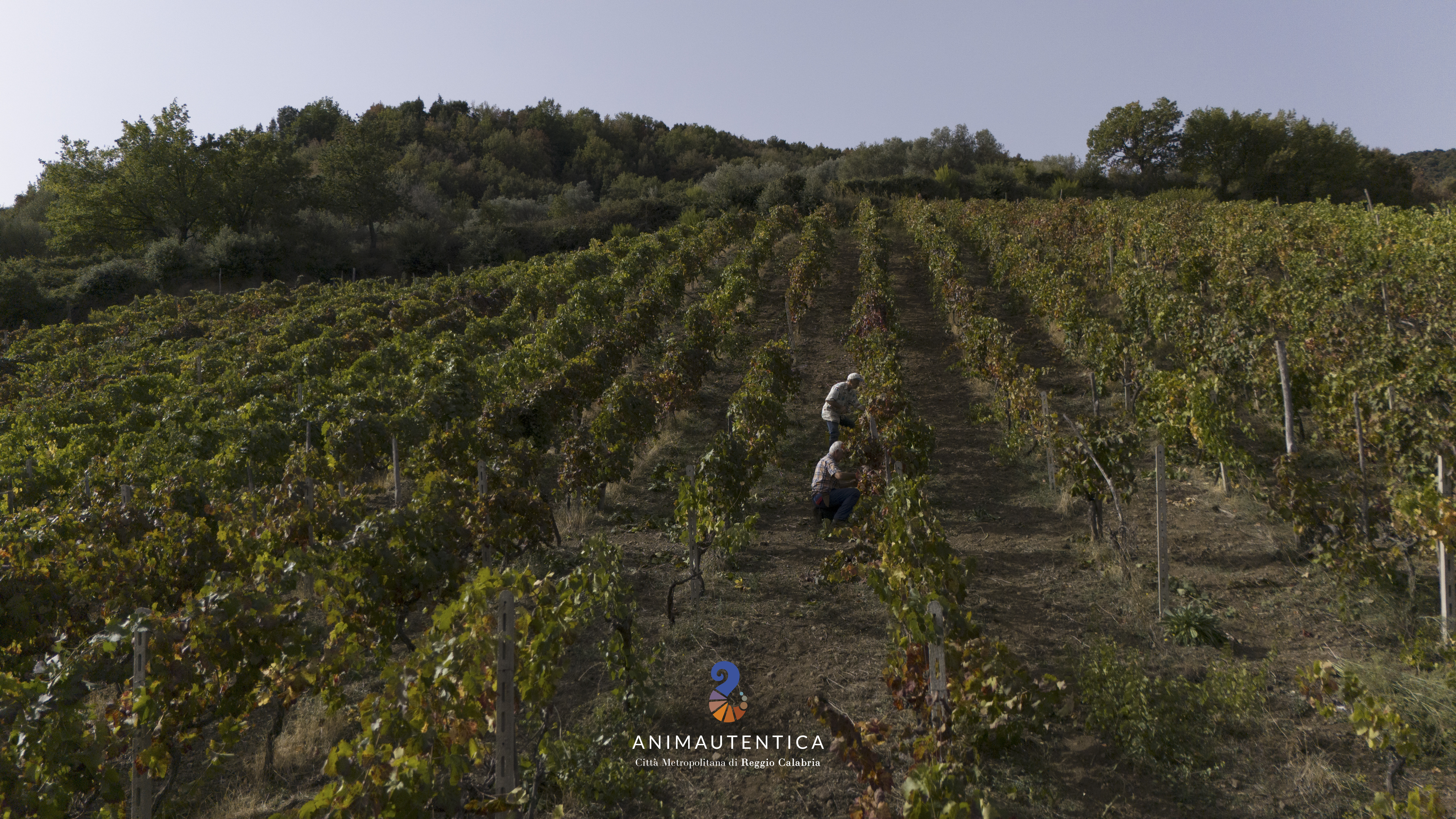 Vinitaly 2026: presente la Citt� Metropolitana con la sua �Anima autentica�