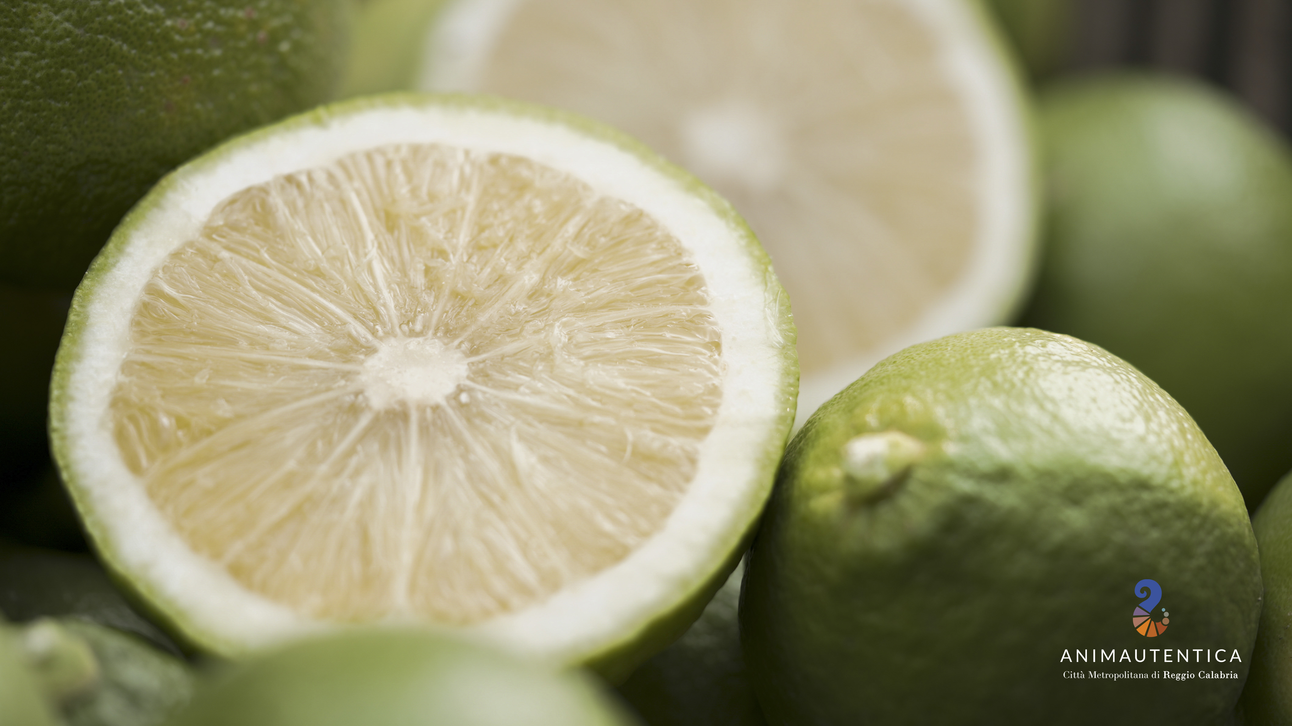 Carta dei dolci tipici del territorio metropolitano di Reggio Calabria