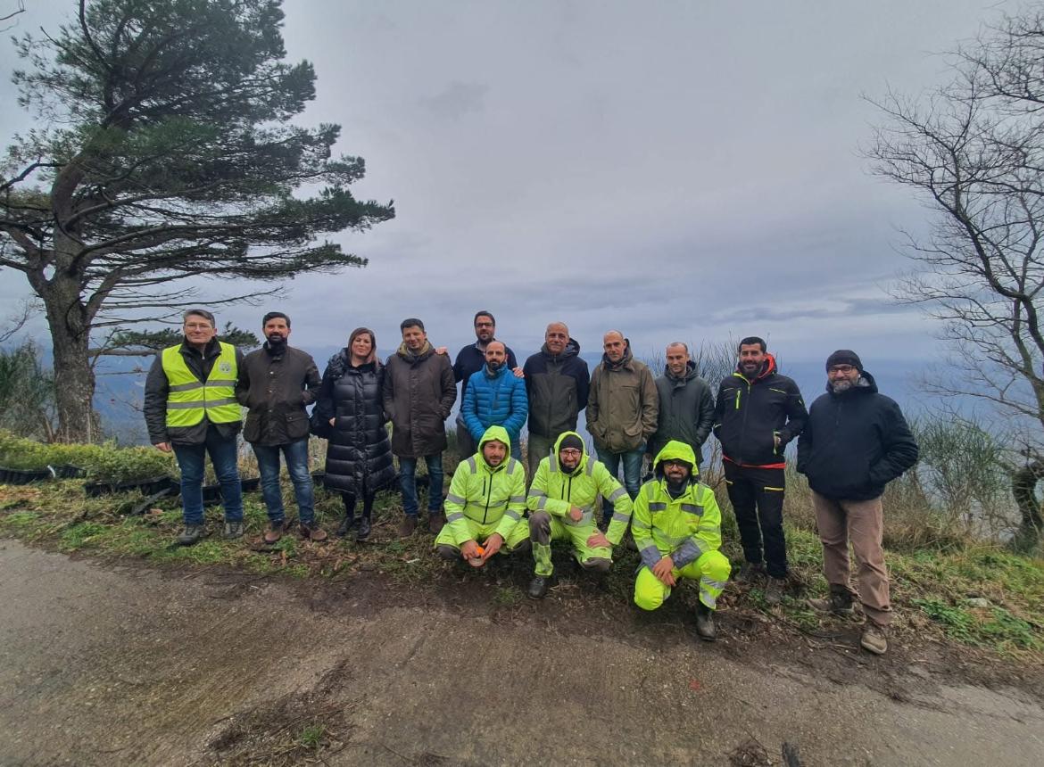 Proseguono i lavori di riforestazione della Citt� Metropolitana sul Monte Sant\'Elia di Palmi